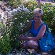 ���������� �������� ���, ���� ������� �������, 56 ���, ������������ 