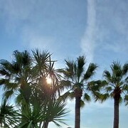 ���������� ���������, ���� ������� ������, 48 ���, ������������ ��� ������, ����� � ���������, c�������� ���������