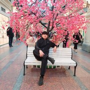 ���������� ������, ���� ����� ������, 24 ����, ������������ ��� c�������� ���������