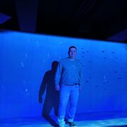 ���������� ������, ���� ������� �����, 38 ���, ������������ ��� ������, ����� � ���������