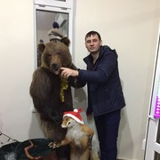 ���������� ���������� �����, ���� ������� �����, 43 ����, ������������ ��� ������, ����� � ���������, c�������� ���������