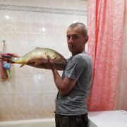  ,   Alex, 50 ,   ,   
