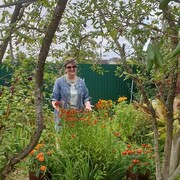 ���������� ���������, ���� ������� ����, 61 ���, ������������ ��� ����� � ���������, c�������� ���������