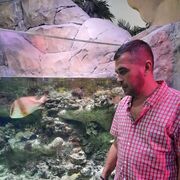 ���������� ��������, ���� ������� �������, 36 ���, ������������ ��� ������, ����� � ���������, c�������� ���������, ���������