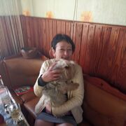  ,   , 41 ,   c , 