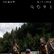  ,    , 56 ,     , c 