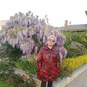 ���������� �����, ���� ������� ������, 58 ���, ������������ ��� ����� � ���������, c�������� ���������