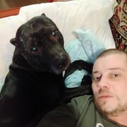 ���������� ������, ���� ������� �������, 36 ���, ������������ ��� ������, ����� � ���������, c�������� ���������