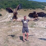 ���������� ����������, ���� ������� ������, 39 ���, ������������ ��� ������, ����� � ���������, c�������� ���������