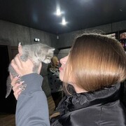 ���������� ������, ���� ������� ����������, 23 ����, ������������ ��� ������, ����� � ���������, c�������� ���������, ���������