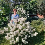  ,  TATJANA, 68