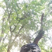  ,   , 58 ,   ,   , c , 