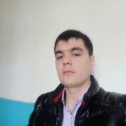 ���������� �����, ���� ������� DALER, 33 ����, ������������ 