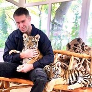 ���������� ������, ���� ������� St, 42 ����, ������������ ��� ������, ����� � ���������, c�������� ���������, ���������