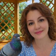 ���������� ������, ���� ������� ��������, 45 ���, ������������ ��� c�������� ���������