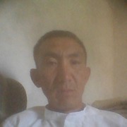  ,   Maulen, 42 ,     , c 