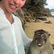 ���������� �����, �����