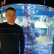 ���������� ������, ���� ������� �������, 41 ���, ������������ ��� ������, ����� � ���������, c�������� ���������