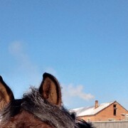 ���������� ��������, ���� ������� �������, 30 ���, ������������ ��� ������, ����� � ���������