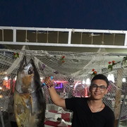  ,   , 26 ,   