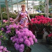  ,   , 64 ,   c 