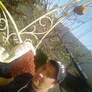  ,   , 29 ,   ,   , c 