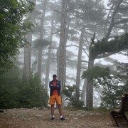 ���������� ��������, ���� ������� ������, 38 ���, ������������ ��� ������, ����� � ���������, c�������� ���������