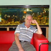  ,   , 65 ,  