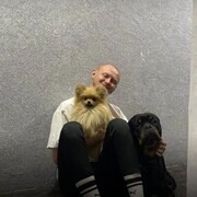 ���������� �����, ���� ������� ������, 30 ���, ������������ ��� ������, ���������