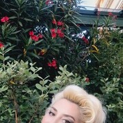  ,   , 55 ,   ,   , c , 