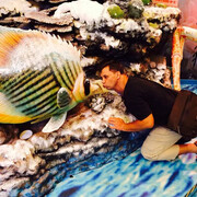 ���������� �����������, ���� ������� �������, 48 ���, ������������ ��� ������, ����� � ���������, ���������