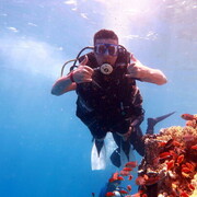  ,   Murat, 34 ,   ,   