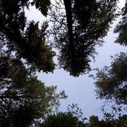  -,   , 42 ,   ,   , c 