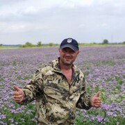 ���������� ����, ���� ������� ����, 50 ���, ������������ ��� ������, ����� � ���������, c�������� ���������