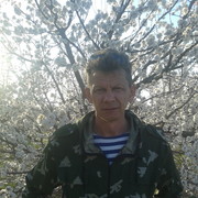  ,   , 55 ,  