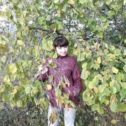  ,    , 40 ,   c , 