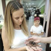  ,   , 26 ,   ,   , 