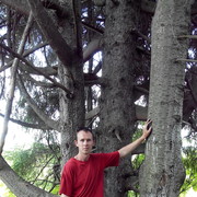 ���������� ���������������, ���� ������� ������, 38 ���, ������������ ��� ������, ����� � ���������, c�������� ���������