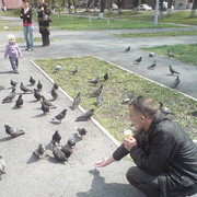 ���������� �����������, ���� ������� ������, 41 ���, ������������ ��� ������, ����� � ���������, c�������� ���������