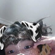  ,   , 21 ,   ,   