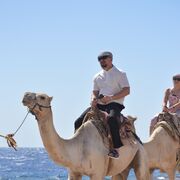 ���������� �������, ���� ������� �����, 36 ���, ������������ ��� ������, ����� � ���������, c�������� ���������