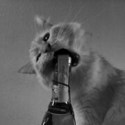 ���������� ������ ��������, ��������