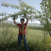 ���������� �������, ���� ������� ������, 33 ����, ������������ ��� ������, ����� � ���������, c�������� ���������, ���������