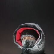 ���������� ���������, ���� ������� ������, 38 ���, ������������ ��� ������, ����� � ���������, c�������� ���������, ���������