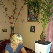  ,   , 65 ,  