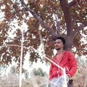  ,   Hamza, 27 ,   ,   , c 