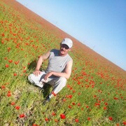 ���������� ������, ���� ������� �����, 52 ����, ������������ ��� ������, ����� � ���������, c�������� ���������