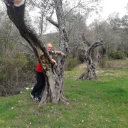  Budva,   , 65 ,   ,   
