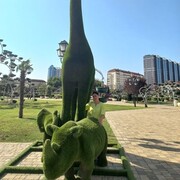 ���������� ���������, ���� ������� ������, 46 ���, ������������ ��� ����� � ���������, c�������� ���������