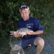 ���������� �����������, ���� ������� ������, 38 ���, ������������ ��� ������, ����� � ���������, ���������